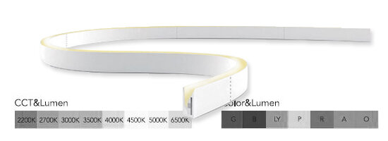 NEON Flex LED ab 60 Laufmeter produziert